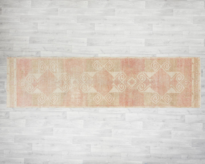 Faded Runner Rug 2' 10" x 10' 8" | No. VR21191