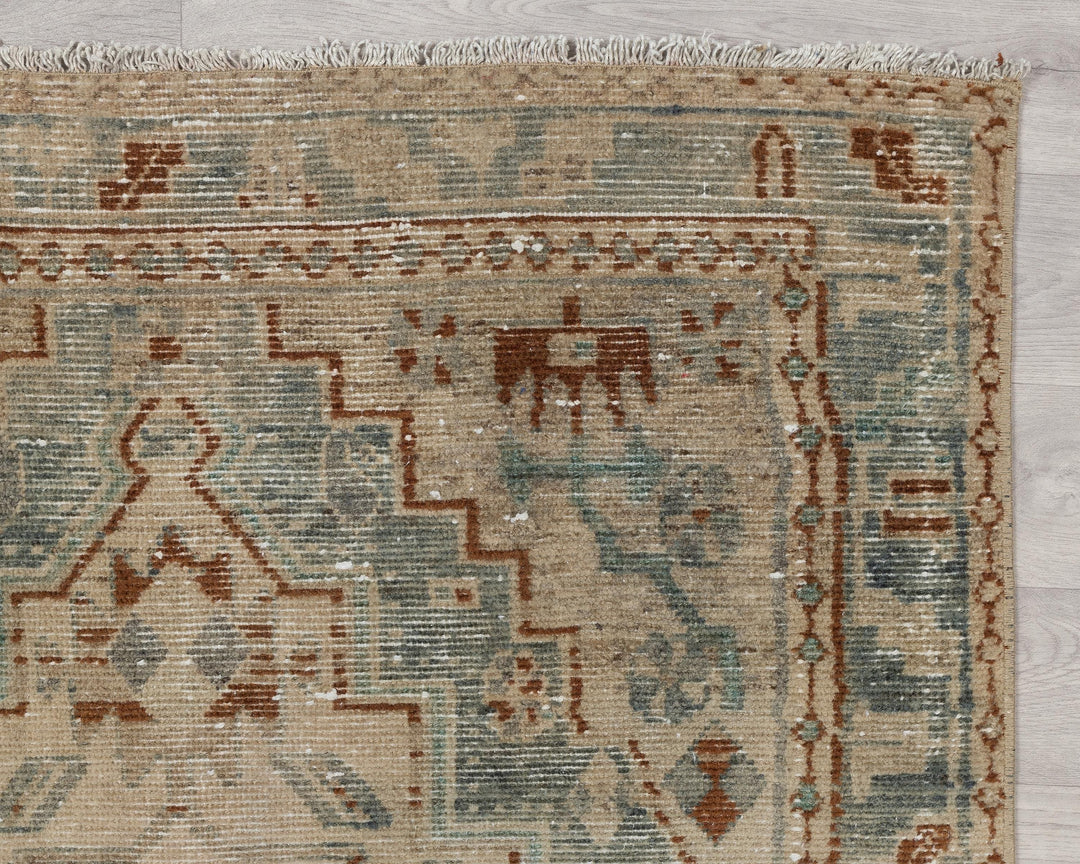 Runner Rug 3' 5" x 14' 6" | No. VR67646