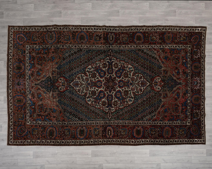 Rust Oushak Rug 7' x 11' 2" | No. VR64360
