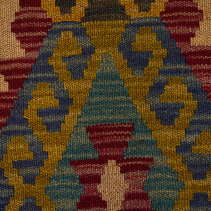 Afghan Vegetable Kilim Runner 1' 10" x 6' 4" Flat-Weave border