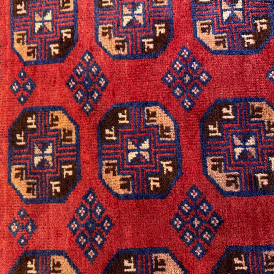 Afghan Baluchi Rug 2' 9" x 4' 8" Hand-Knotted border