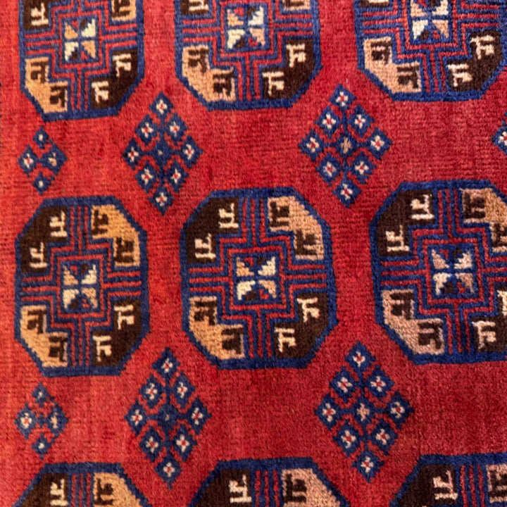 Afghan Baluchi Rug 2' 9" x 4' 8" Hand-Knotted border