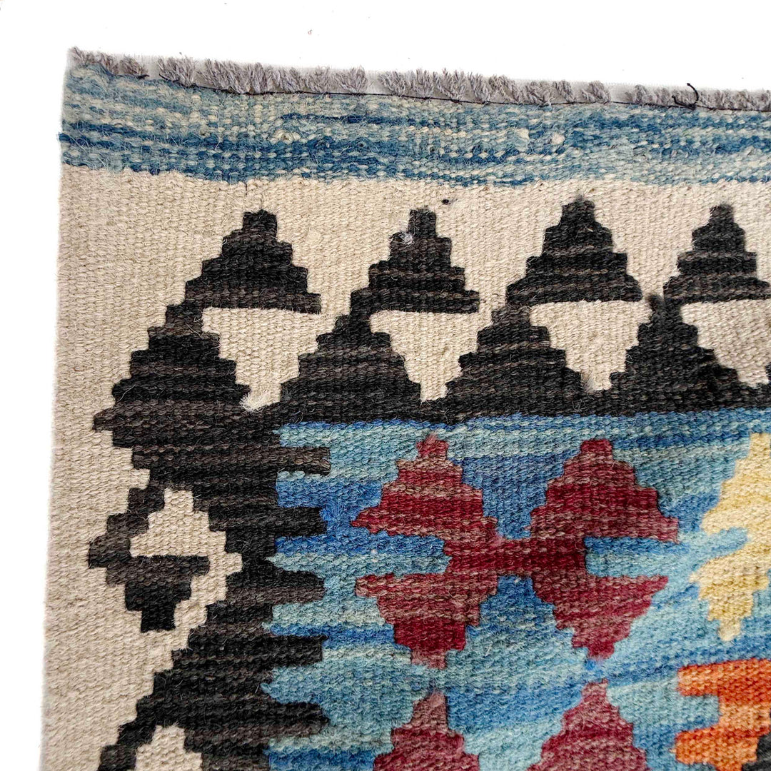 Afghan Vegetable Kilim Rug 10' 2" x 16' 6" Flat-Weave pattern