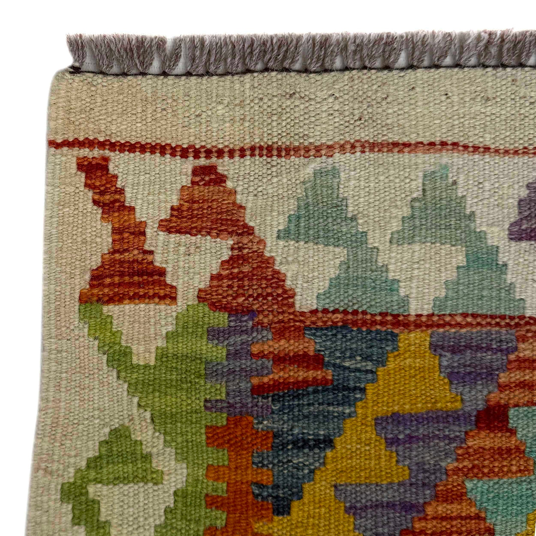Afghan Vegetable Kilim Rug 2' 8" x 8' 5" Flat-Weave pattern