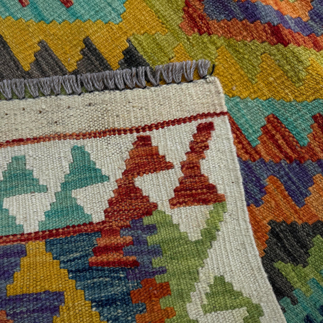 Afghan Vegetable Kilim Rug 2' 8" x 8' 5" Flat-Weave border