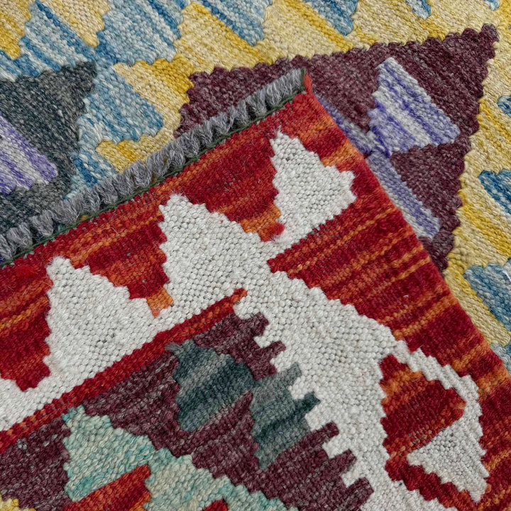 Afghan Vegetable Kilim Rug 2' 9" x 7' 9" Flat-Weave border