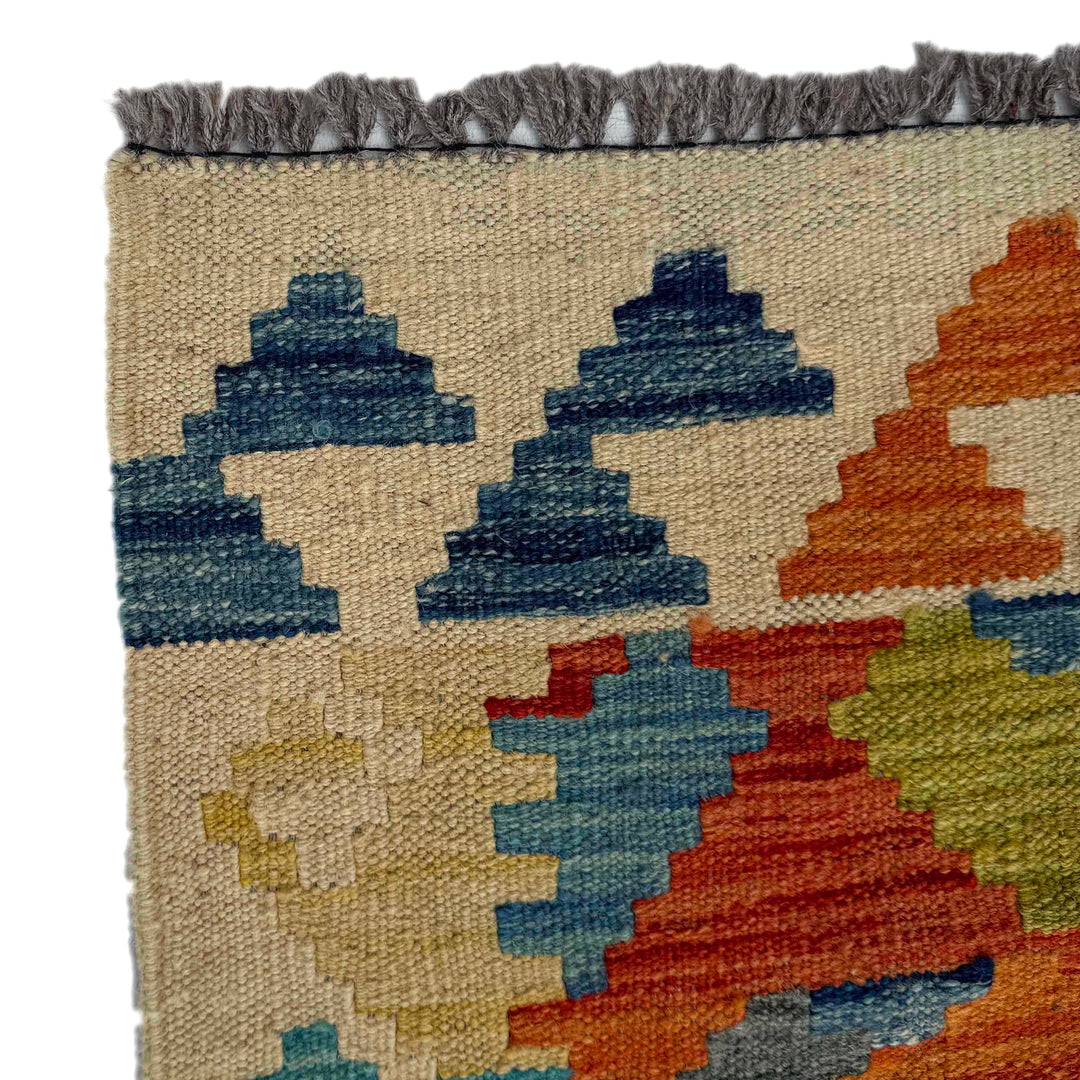 Afghan Vegetable Kilim Rug 2' 9" x 8' 4" Flat-Weave pattern