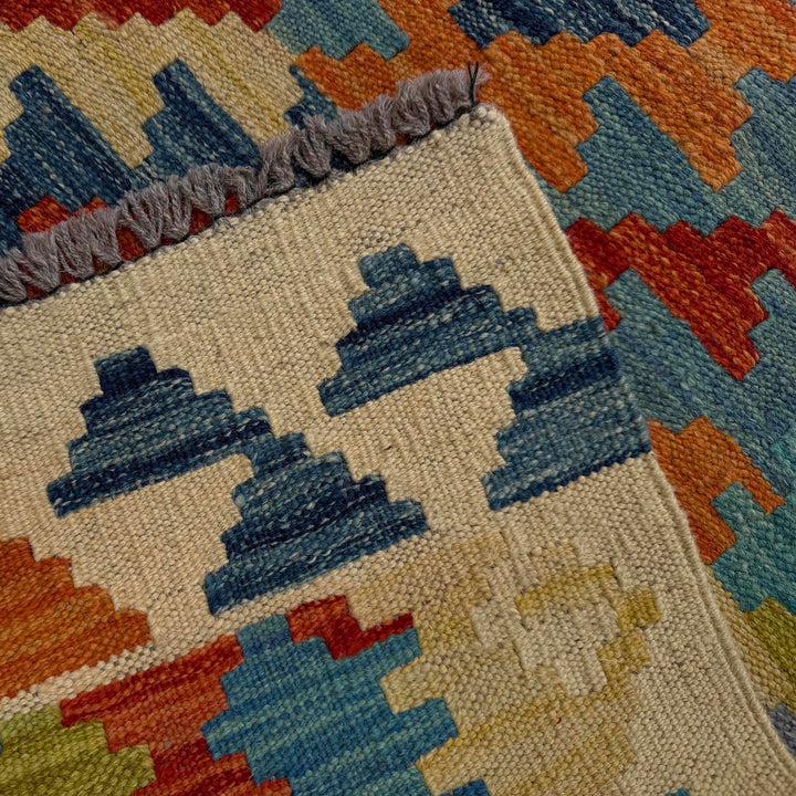 Afghan Vegetable Kilim Rug 2' 9" x 8' 4" Flat-Weave border
