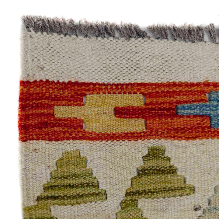 Afghan Vegetable Kilim Rug 2' 10" x 6' 3" Flat-Weave pattern