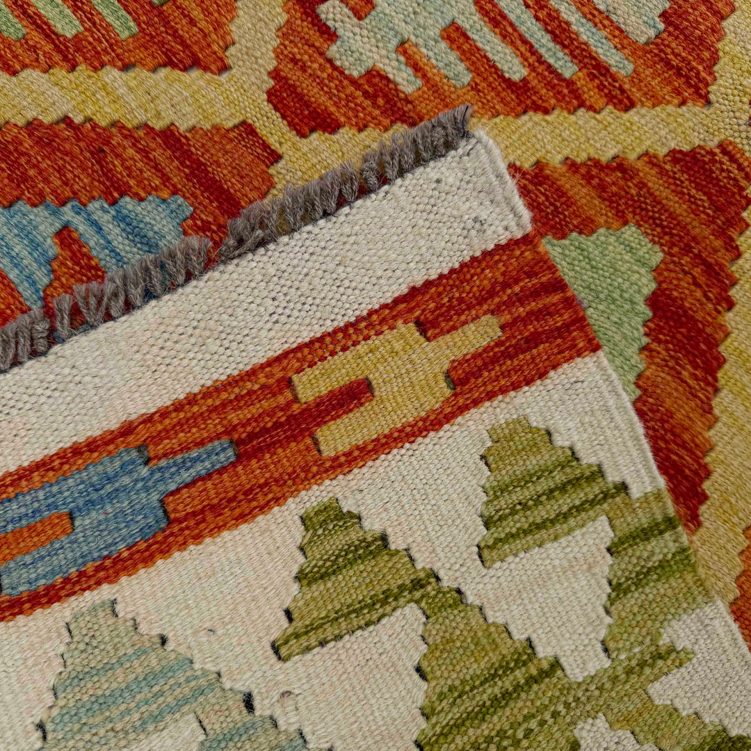 Afghan Vegetable Kilim Rug 2' 10" x 6' 3" Flat-Weave border