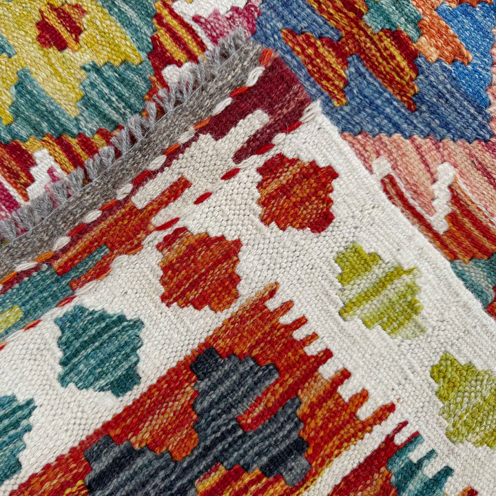 Afghan Vegetable Kilim Rug 2' 7" x 6' 9" Flat-Weave border