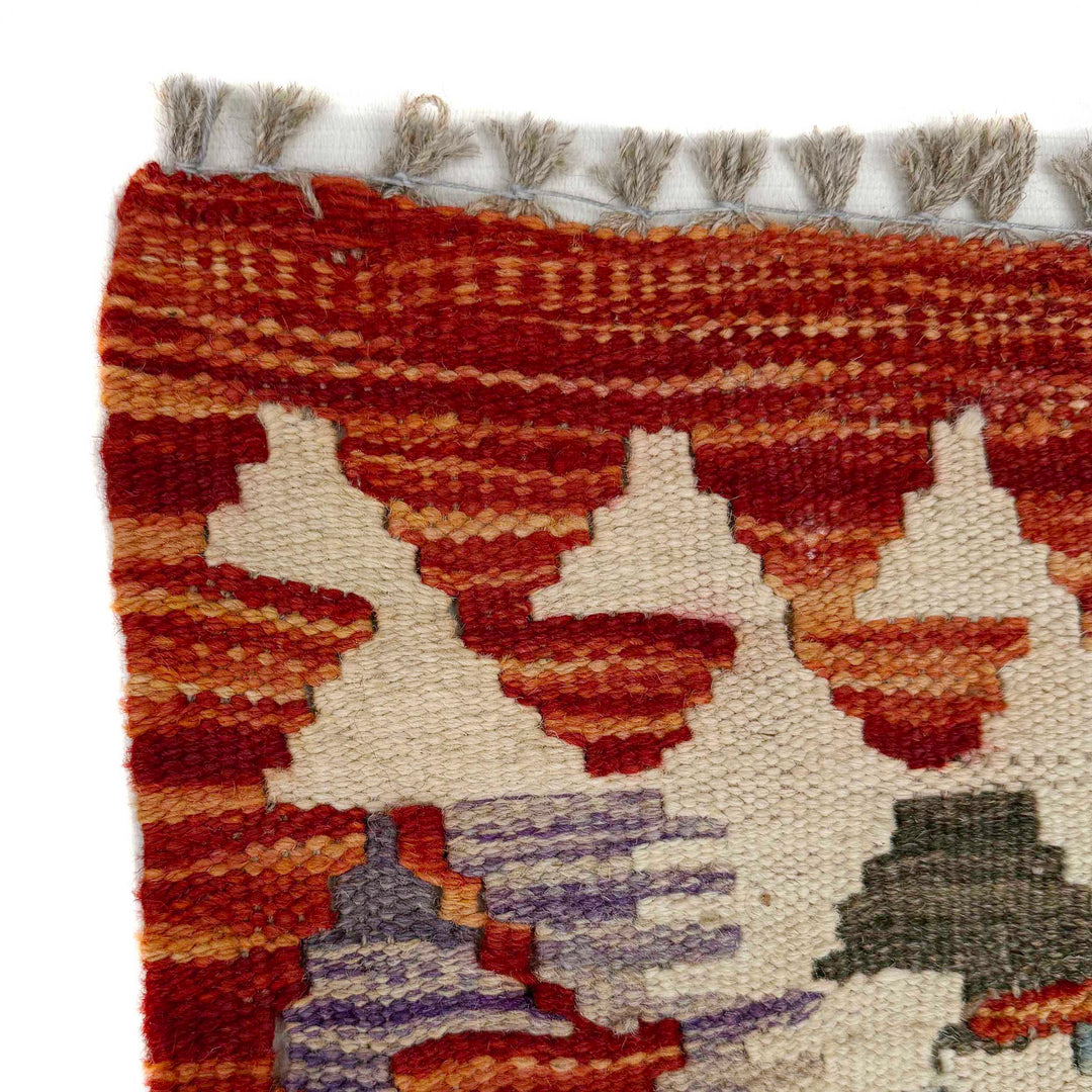 Afghan Vegetable Kilim Rug 2' 5" x 6' 3" Flat-Weave pattern