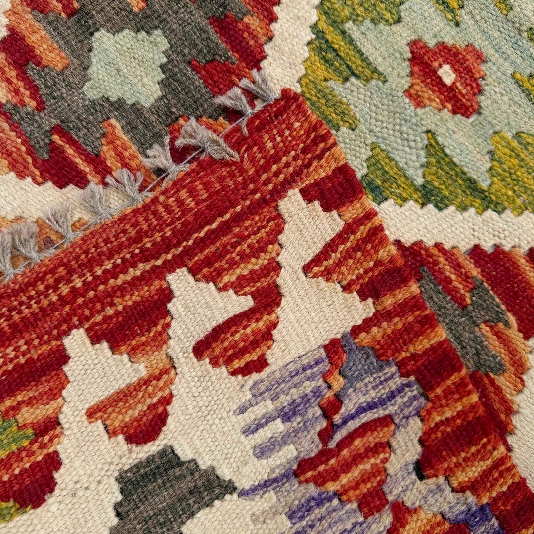 Afghan Vegetable Kilim Rug 2' 5" x 6' 3" Flat-Weave border