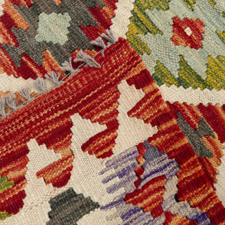 Afghan Vegetable Kilim Rug 2' 5" x 6' 3" Flat-Weave border