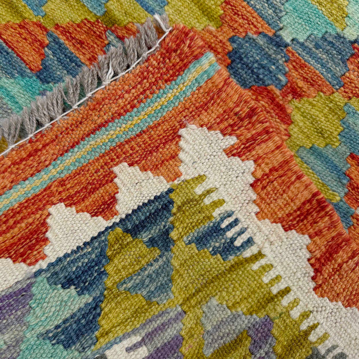 Afghan Vegetable Kilim Rug 2' 9" x 6' 9" Flat-Weave border
