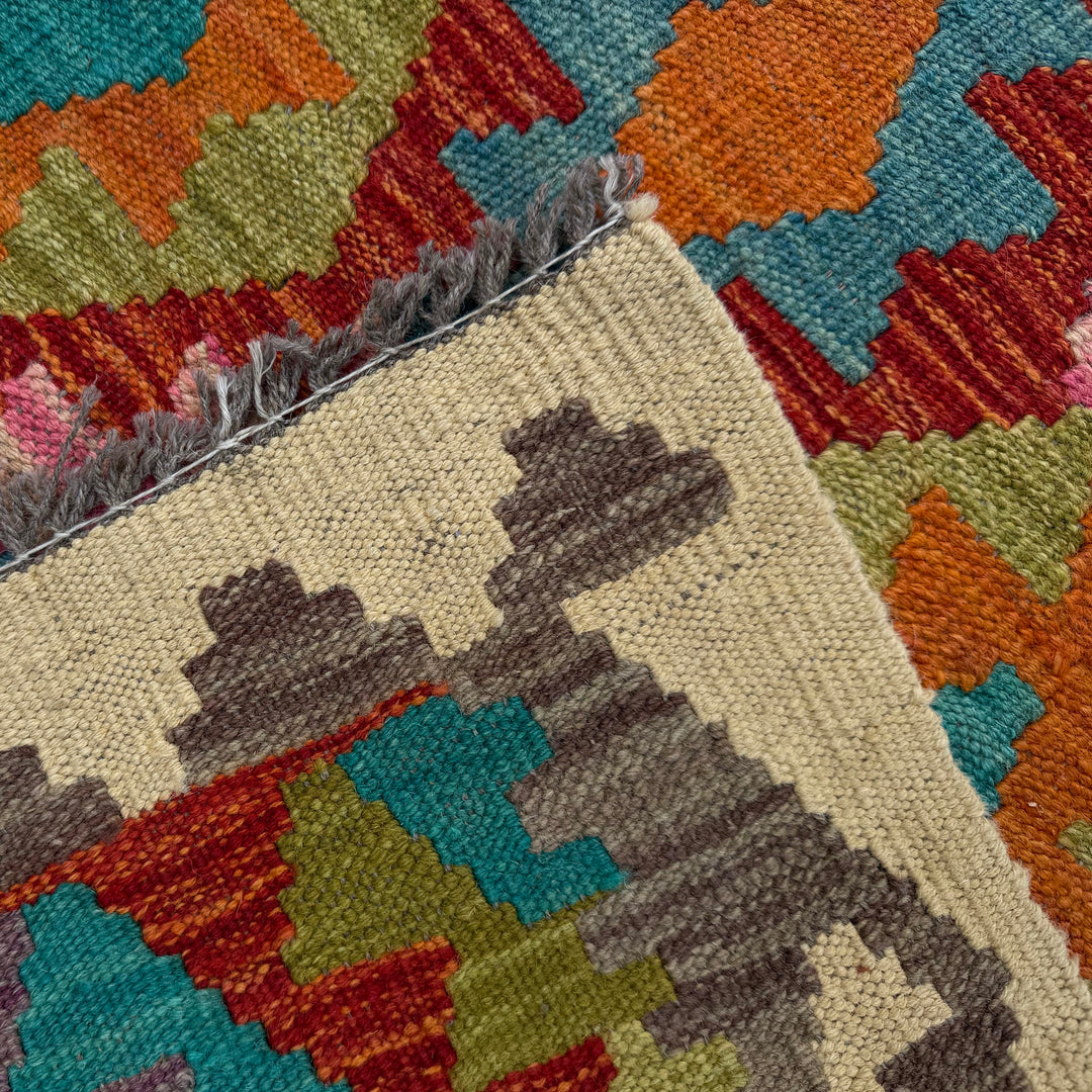Afghan Vegetable Kilim Rug 2' 9" x 9' 5" Flat-Weave border