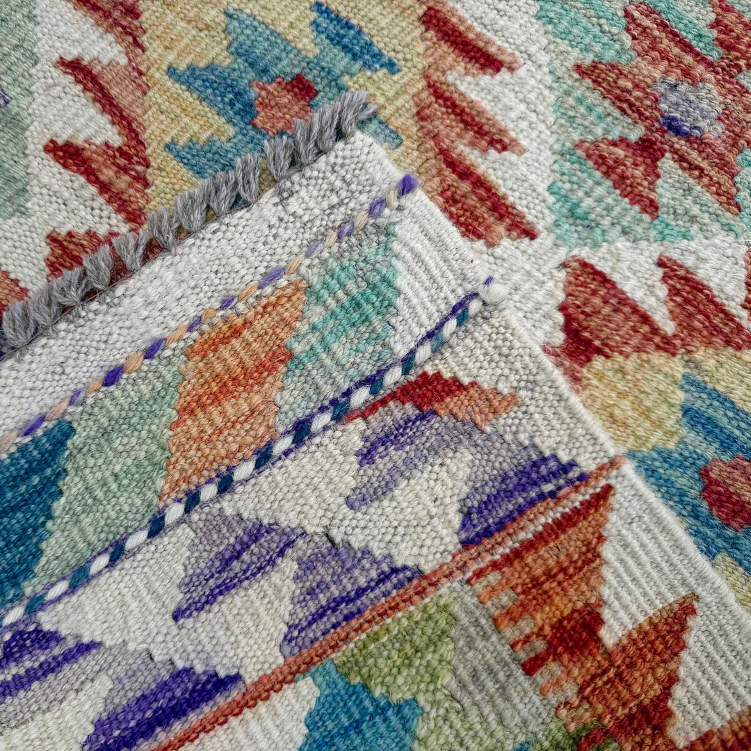 Afghan Vegetable Kilim Runner 2' 9" x 9' 5" Flat-Weave border