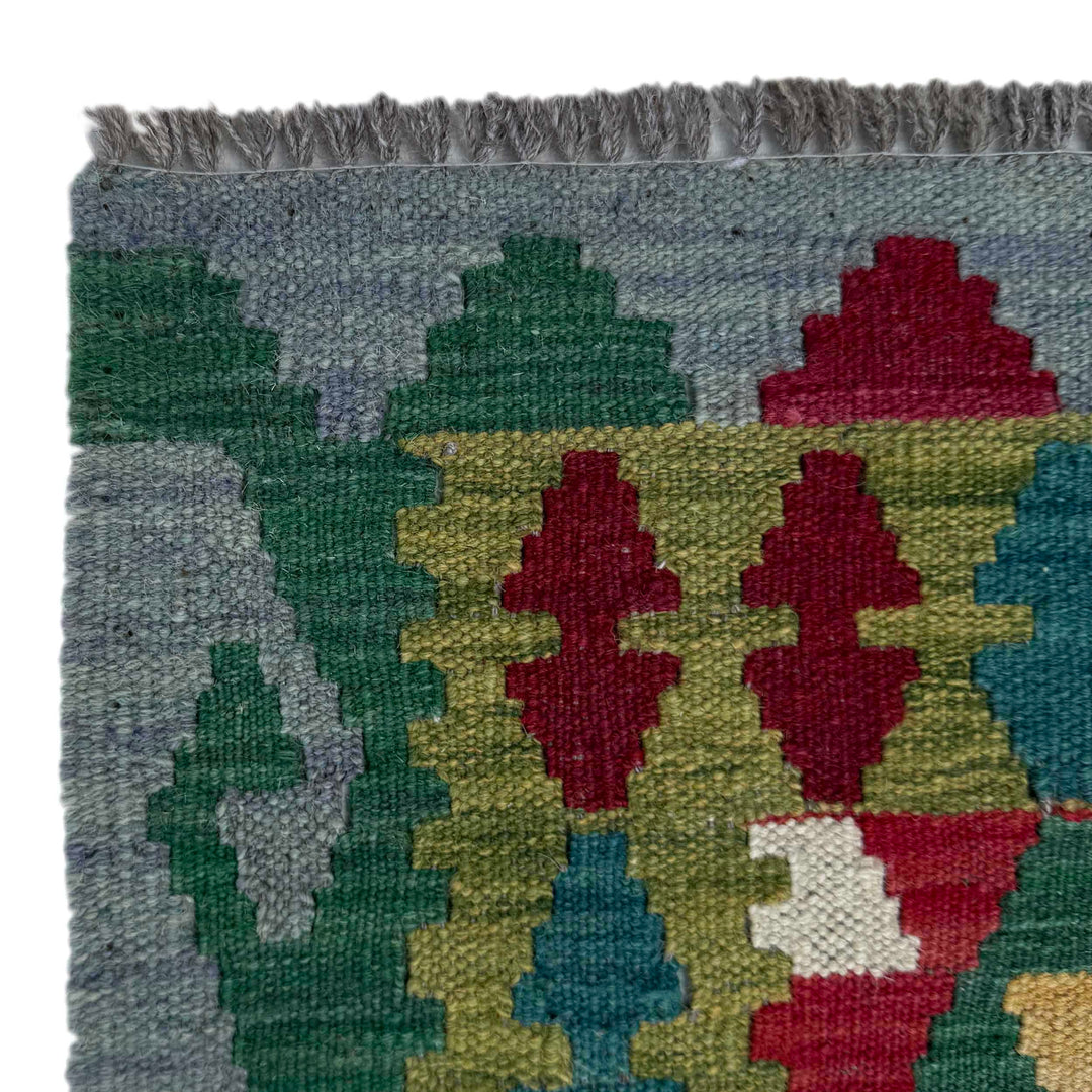 Afghan Vegetable Kilim Rug 2' 10" x 9' 10" Flat-Weave pattern