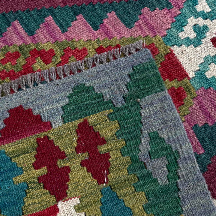 Afghan Vegetable Kilim Rug 2' 10" x 9' 10" Flat-Weave border