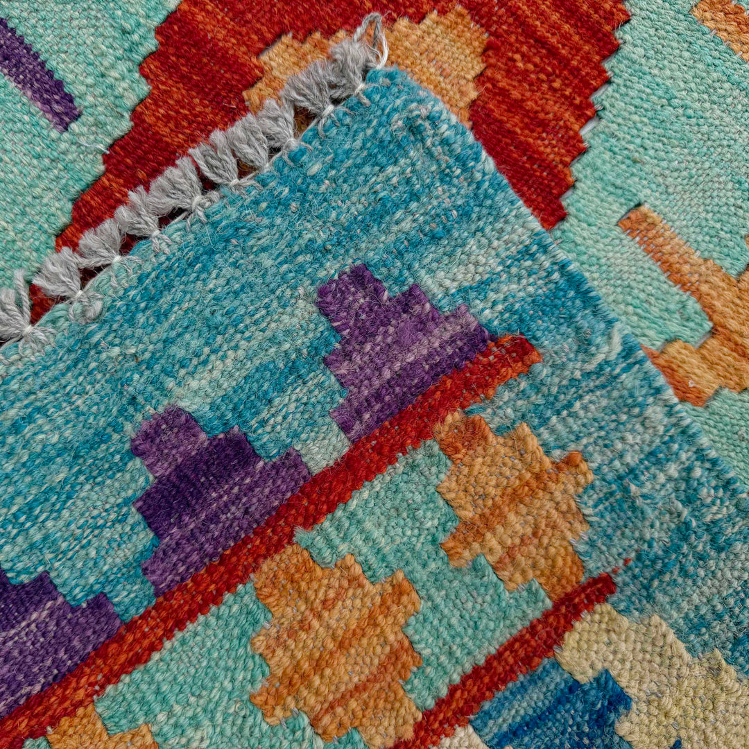 Afghan Vegetable Kilim Rug 2' 11" x 10' 0" Flat-Weave border