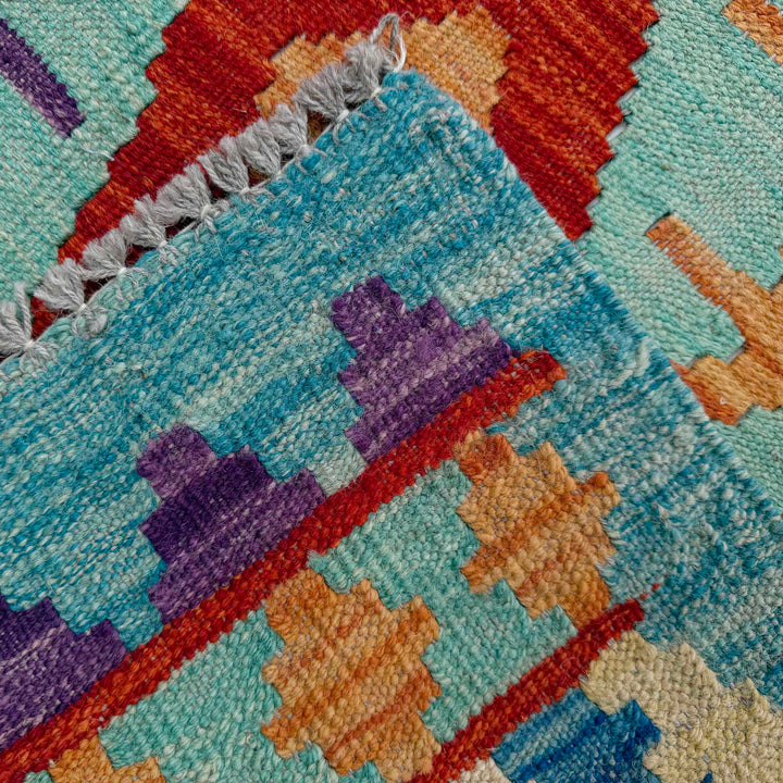 Afghan Vegetable Kilim Rug 2' 11" x 10' 0" Flat-Weave border