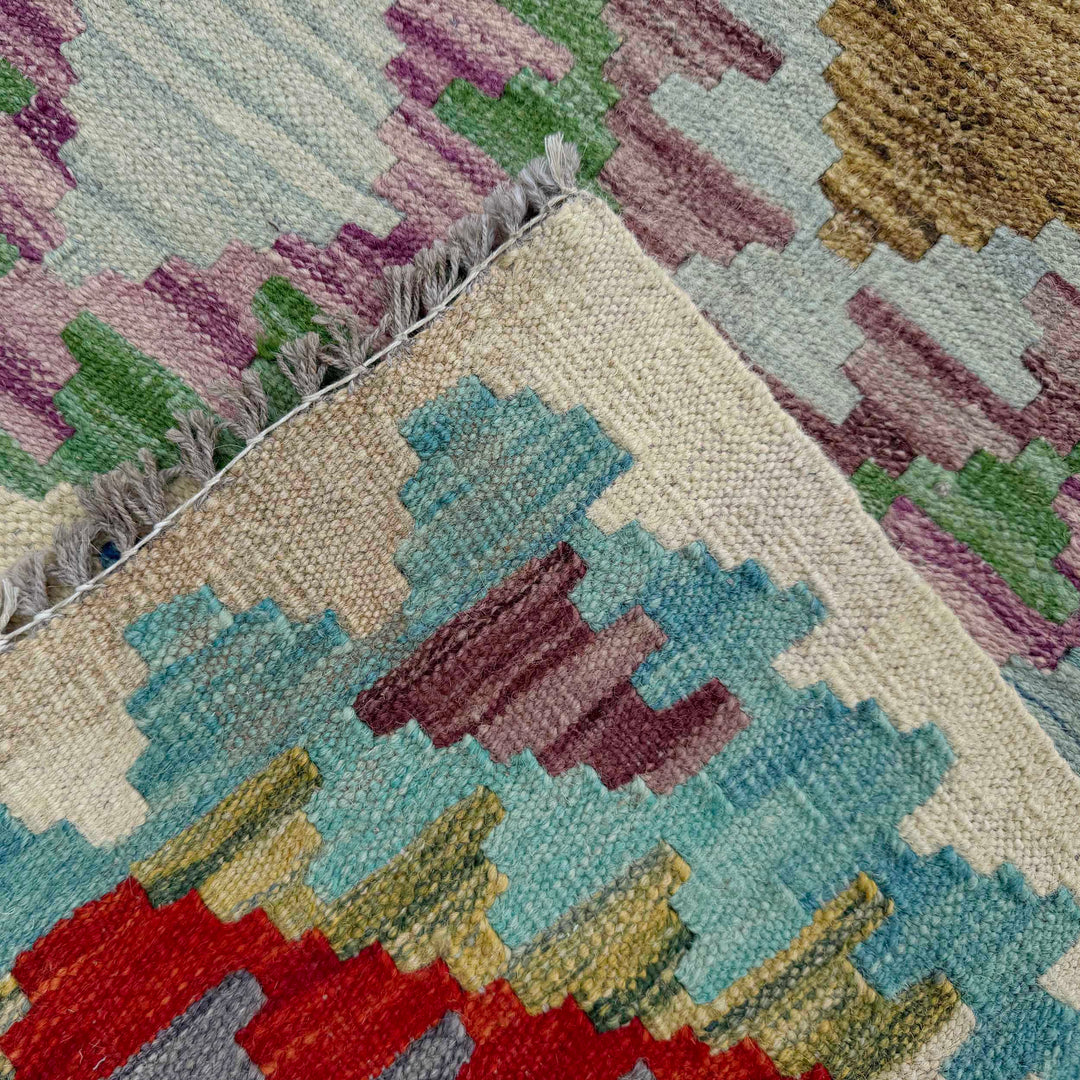 Afghan Vegetable Kilim Rug 2' 7" x 9' 8" Flat-Weave border