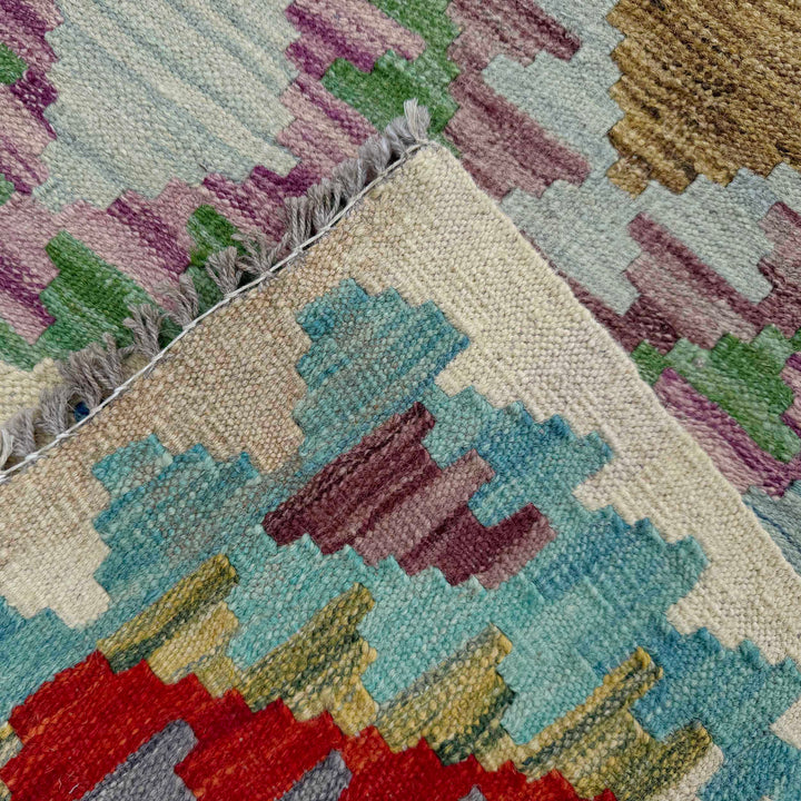 Afghan Vegetable Kilim Rug 2' 7" x 9' 8" Flat-Weave border