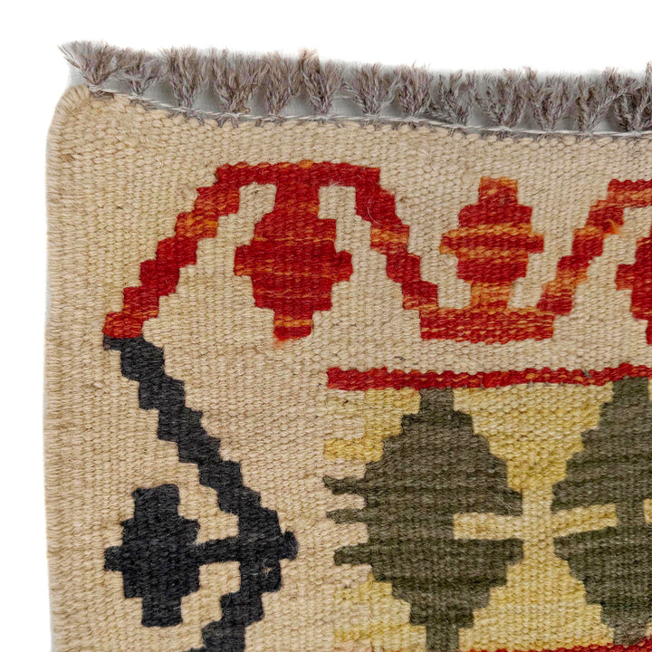 Afghan Vegetable Kilim Rug 2' 7" x 9' 6" Flat-Weave pattern