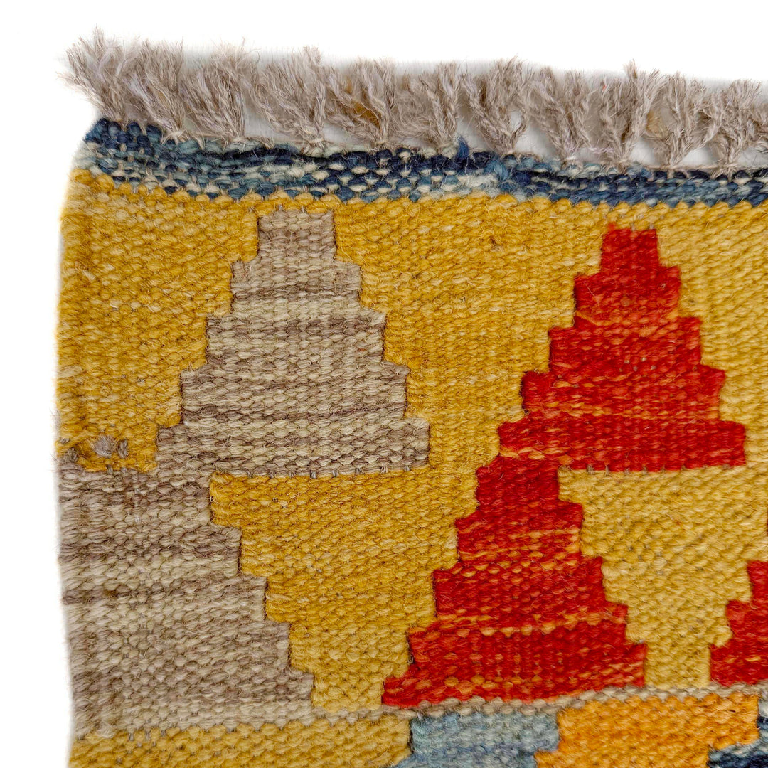 Afghan Vegetable Kilim Rug 2' 9" x 9' 8" Flat-Weave pattern
