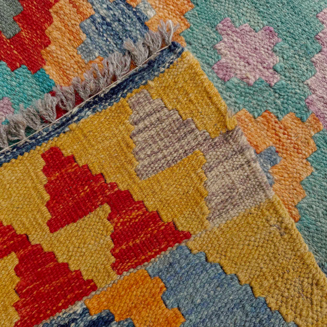 Afghan Vegetable Kilim Rug 2' 9" x 9' 8" Flat-Weave border