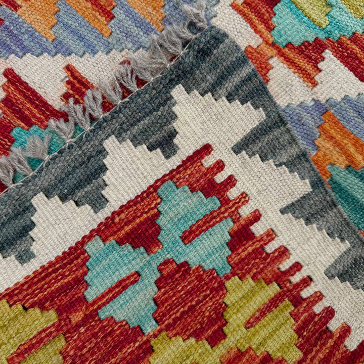 Afghan Vegetable Kilim Rug 2' 6" x 6' 8" Flat-Weave border