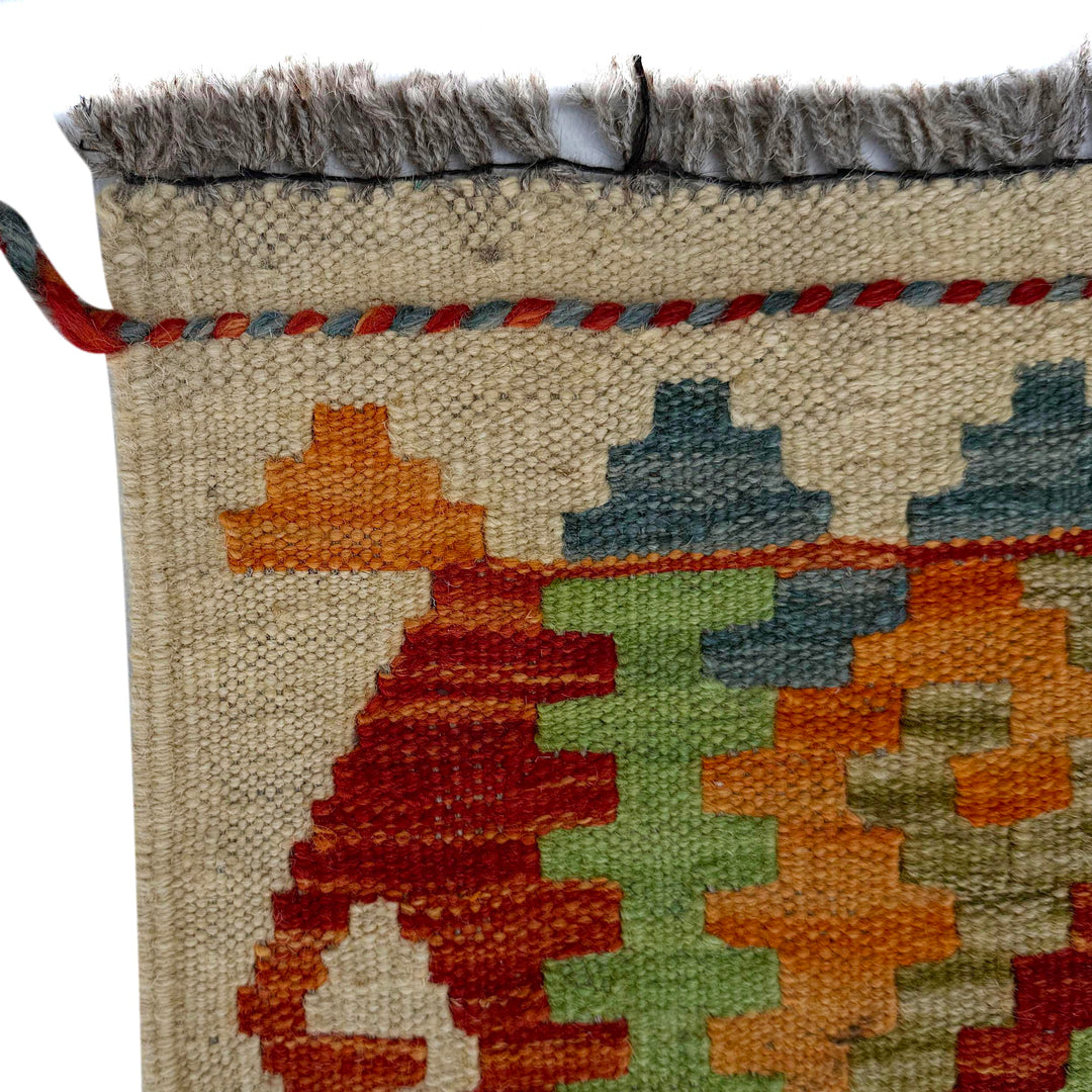 Afghan Vegetable Kilim Rug 2' 9" x 9' 7" Flat-Weave pattern