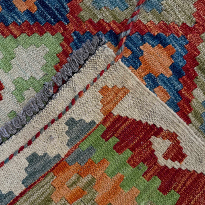 Afghan Vegetable Kilim Rug 2' 9" x 9' 7" Flat-Weave border