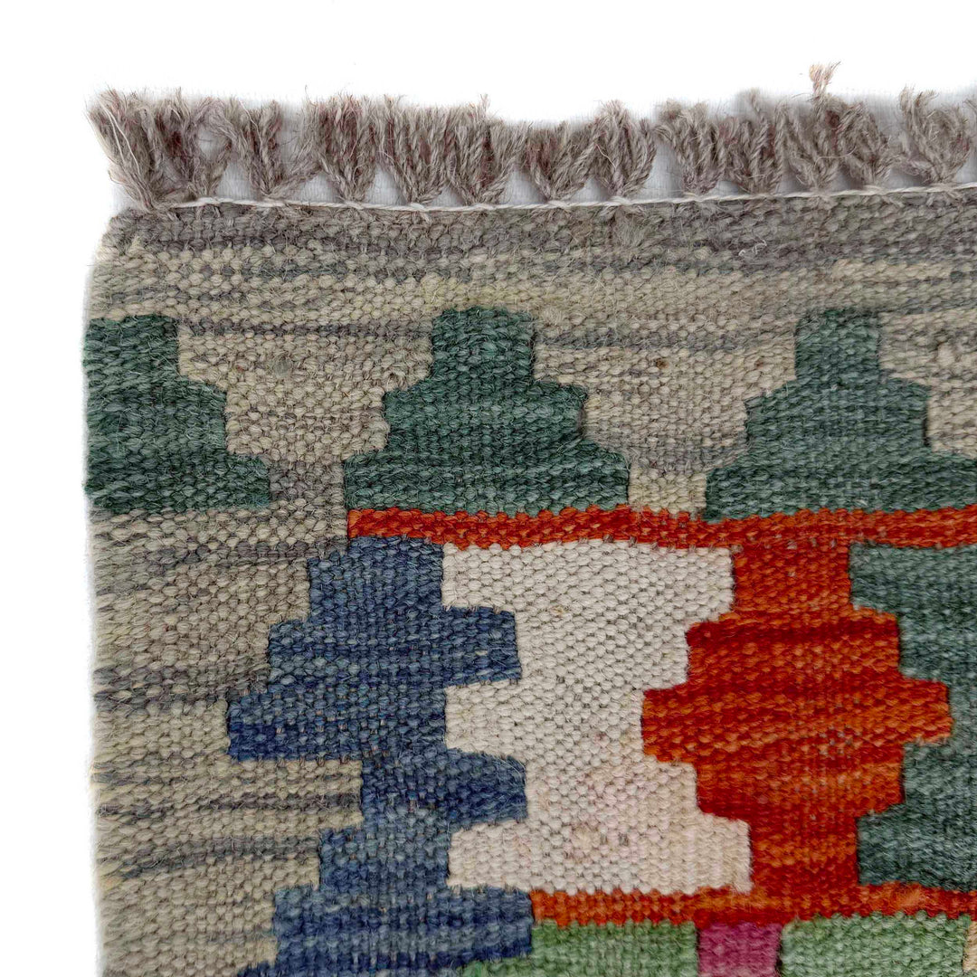 Afghan Vegetable Kilim Rug 2' 6" x 9' 10" Flat-Weave pattern