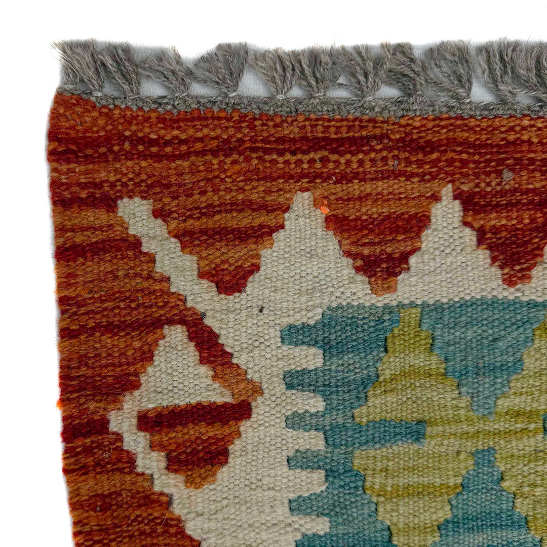Afghan Vegetable Kilim Rug 2' 9" x 9' 8" Flat-Weave | No. AL825033