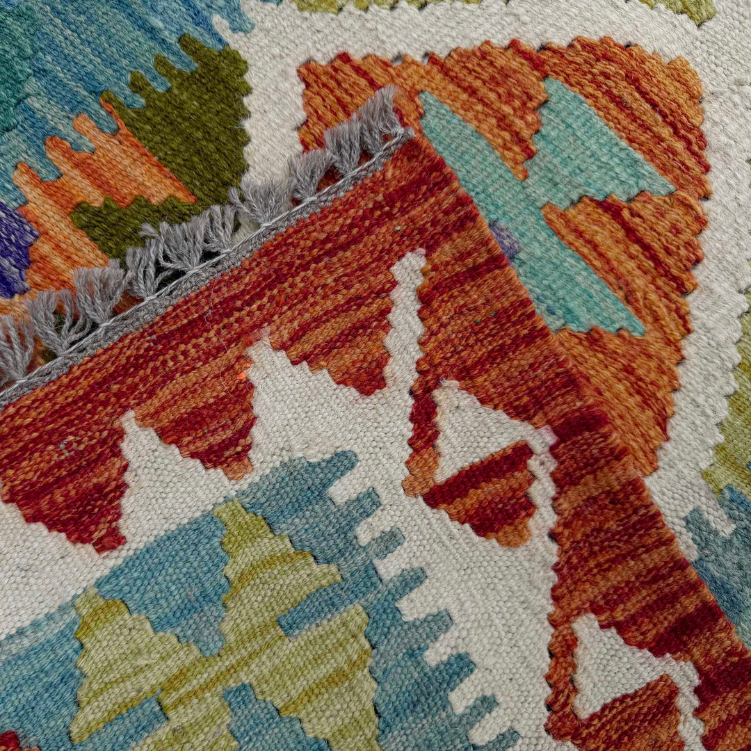 Afghan Vegetable Kilim Rug 2' 9" x 9' 8" Flat-Weave | No. AL825033
