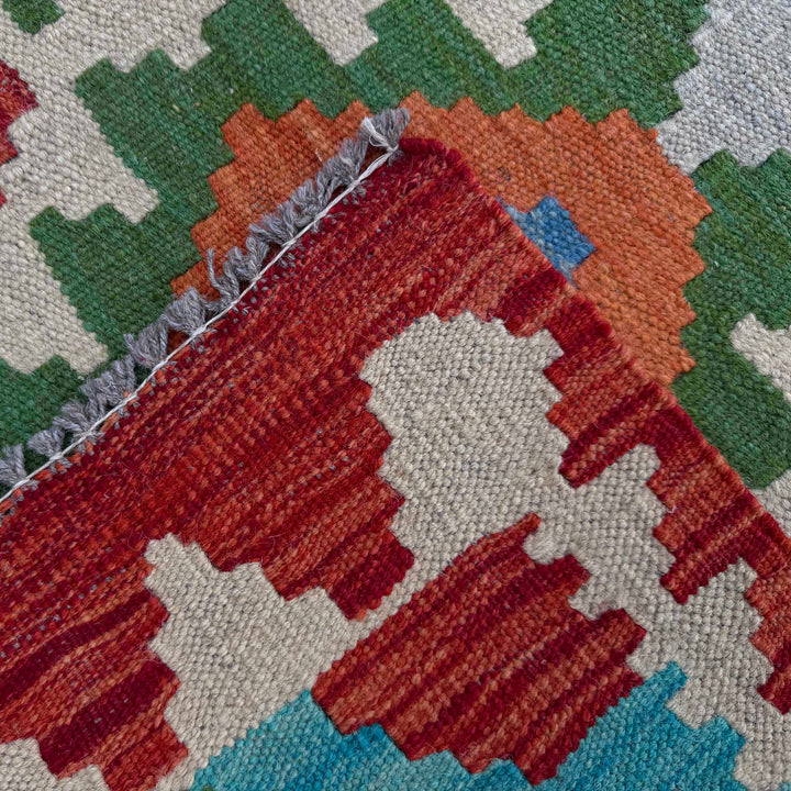 Afghan Vegetable Kilim Rug 2' 9" x 9' 8" Flat-Weave border