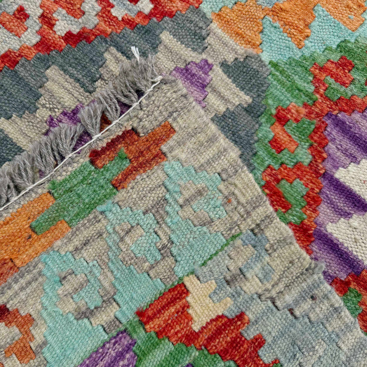 Afghan Vegetable Kilim Rug 2' 9" x 9' 11" Flat-Weave border