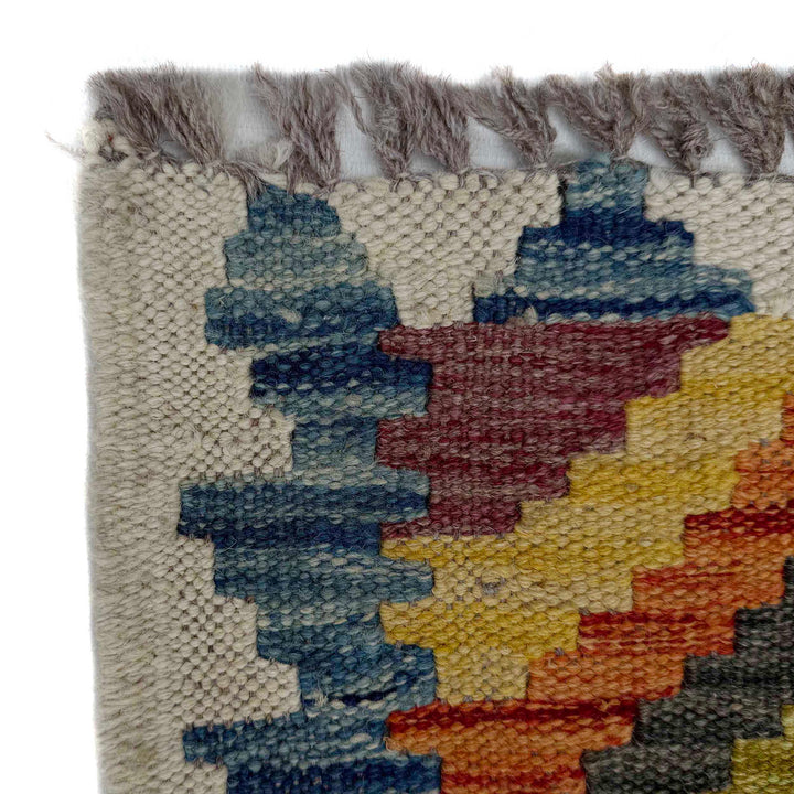 Afghan Vegetable Kilim Rug 2' 9" x 9' 6" Flat-Weave pattern