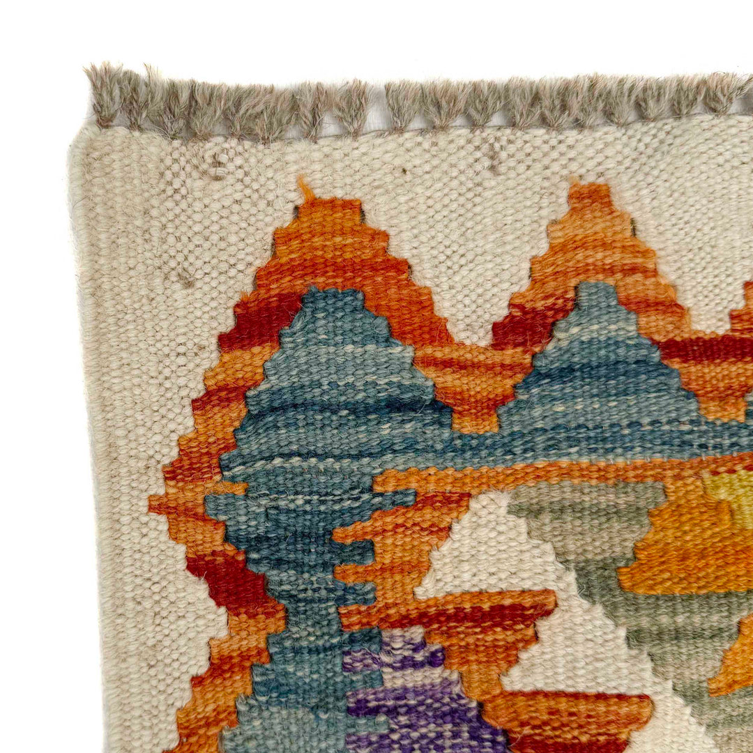 Afghan Vegetable Kilim Rug 2' 9" x 10' 2" Flat-Weave | No. AL181788