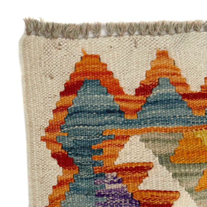 Afghan Vegetable Kilim Rug 2' 9" x 10' 2" Flat-Weave | No. AL181788