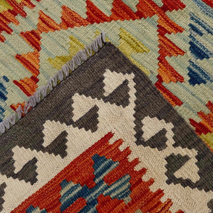 Afghan Vegetable Kilim Rug 2' 10" x 9' 6" Flat-Weave border