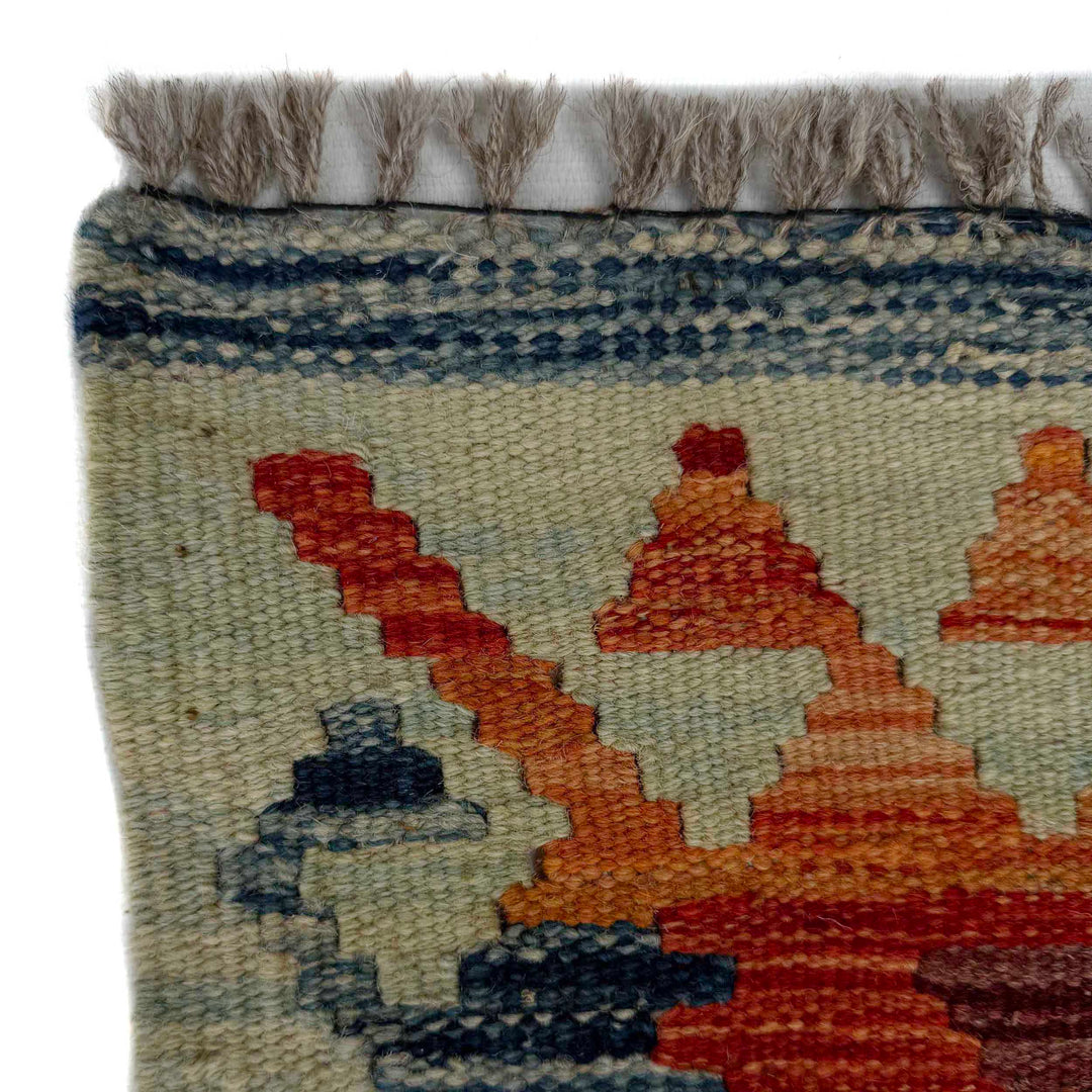 Afghan Vegetable Kilim Rug 2' 7" x 9' 11" Flat-Weave pattern