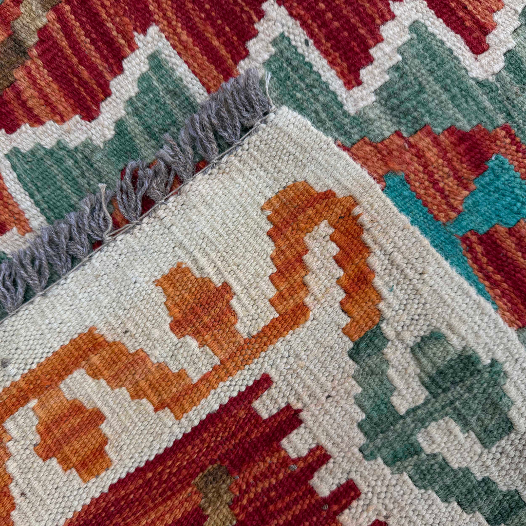 Afghan Vegetable Kilim Rug 2' 9" x 9' 9" Flat-Weave border