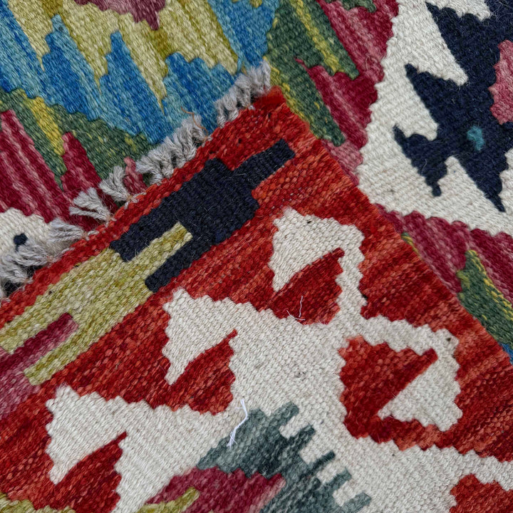 Afghan Vegetable Kilim Rug 2' 9" x 4' 2" Flat-Weave border