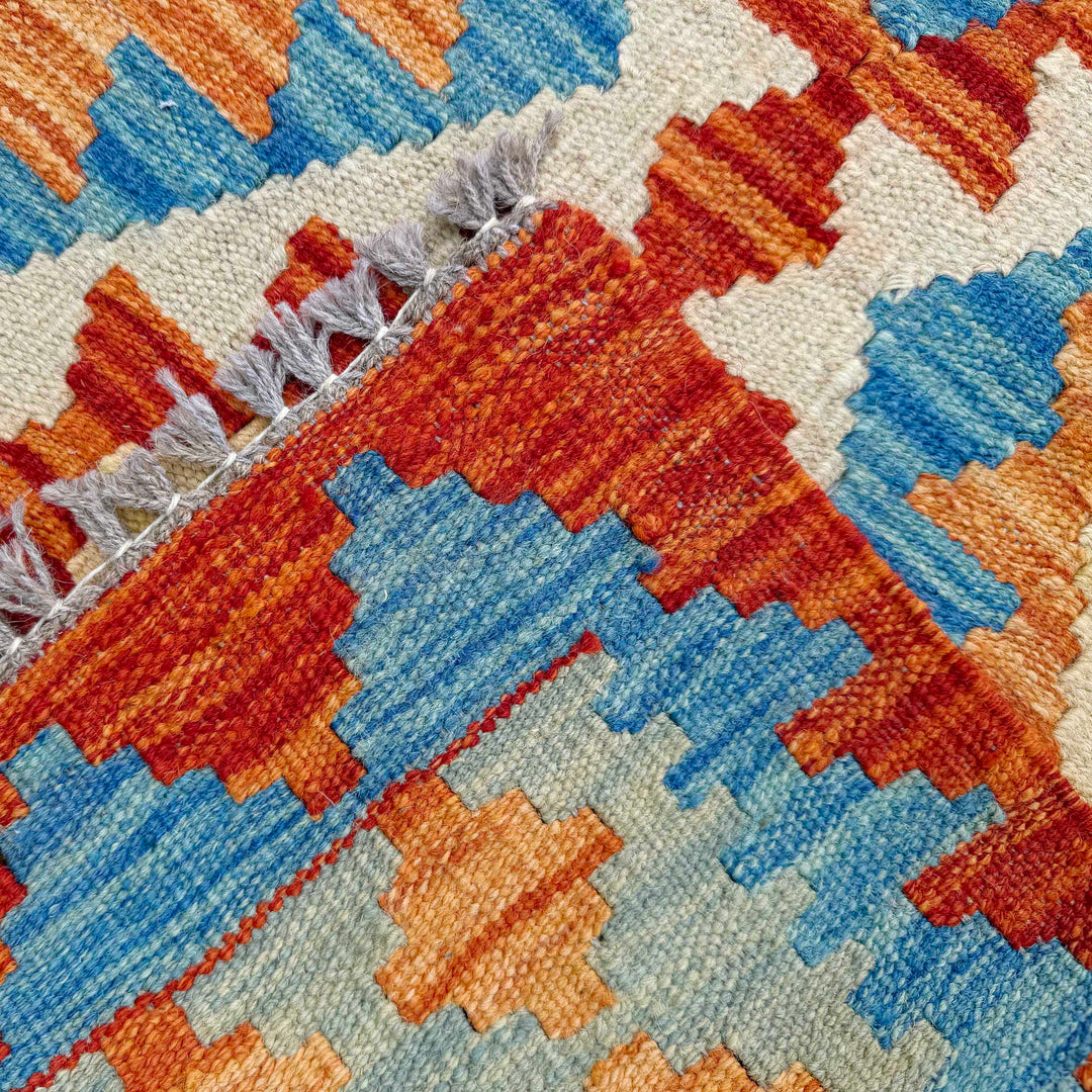 Afghan Vegetable Kilim Rug 2' 7" x 9' 7" Flat-Weave border