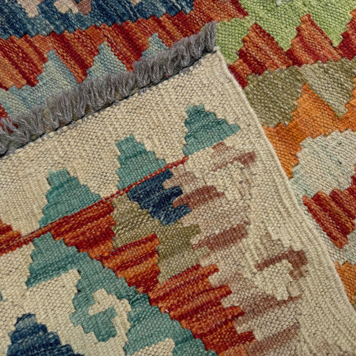 Afghan Vegetable Kilim Rug 2' 8" x 9' 8" Flat-Weave border