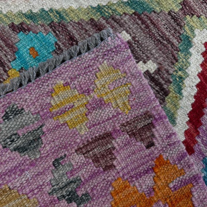 Afghan Vegetable Kilim Rug 2' 7" x 4' 0" Flat-Weave border