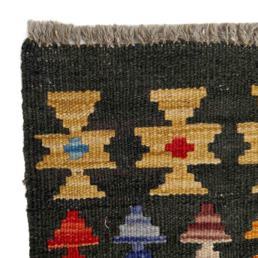 Afghan Vegetable Kilim Rug 2' 7" x 4' 0" Flat-Weave pattern