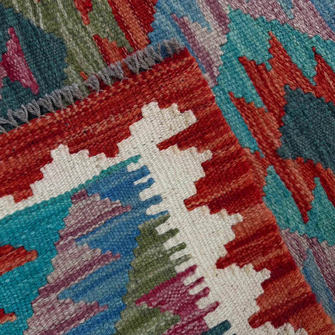 Afghan Vegetable Kilim Rug 2' 11" x 3' 10" Flat-Weave border